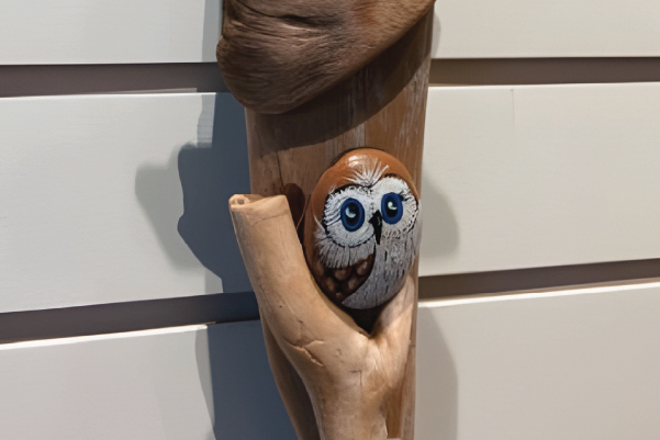 Driftwood Hangings